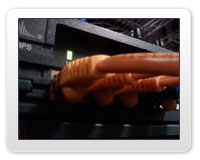 Backbone Connectivity